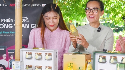 Diversifikasi produk kelapa sawit