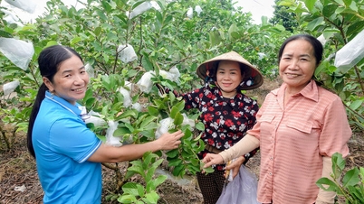 As mulheres Giong Rieng desenvolvem a economia e promovem a felicidade da família.