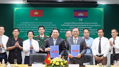 Cooperación en la búsqueda de restos de mártires en Camboya