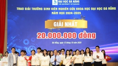 Universidad de Danang: Sembrando semillas, nutriendo jóvenes talentos científicos