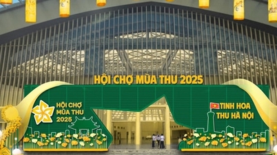 2025年秋フェア: