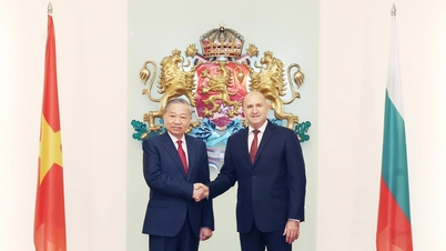 Gemeinsame Erklärung zur Gründung einer strategischen Partnerschaft zwischen Vietnam und Bulgarien