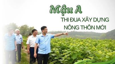 마우 A, 신농촌 건설 경쟁