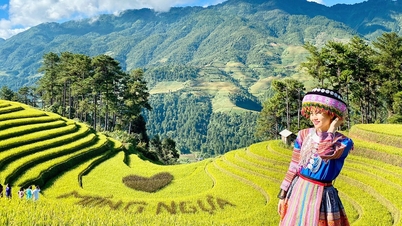Не пропустіть можливість побачити найкрасивіші терасовані поля у світі в Му Канг Чай