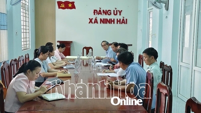 Verificación de las labores de prevención y control del dengue en la comuna de Ninh Hai