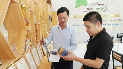 Kisah startup para "bos muda"