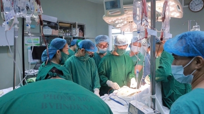 7 người bị thương trong vụ bé sơ sinh bị tấn công ở Nghệ An