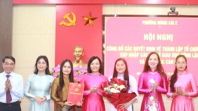 Distrito 2 de Mong Cai (Quang Ninh): Anuncio de decisiones para establecer organizaciones del partido y fusionar escuelas públicas.