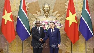 El presidente de la Asamblea Nacional, Tran Thanh Man, se reúne con el presidente sudafricano