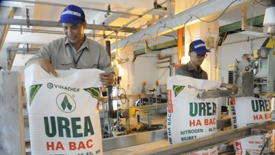 Компания Ha Bac Fertilizer (DHB) потеряла почти 100 миллиардов долларов всего за один квартал