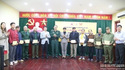 Rencontre et soutien financier à la production pour les familles des victimes de l'agent orange qui ont subi des dommages dus à la tempête n° 10 et à la circulation post-tempête n° 11
