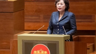 Bảo hiểm tiền gửi được mở rộng đầu tư: Đề nghị đánh giá kỹ rủi ro