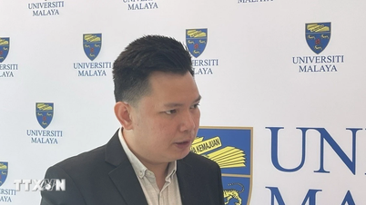 Vietnam – Vekstmotor og strategisk balanse i ASEAN