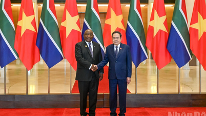 [Foto] Nationalförsamlingens ordförande Tran Thanh Man möter Sydafrikas president Matamela Cyril Ramaphosa