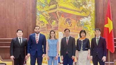Vietnam y Nicaragua fortalecen cooperación en telecomunicaciones y transformación digital