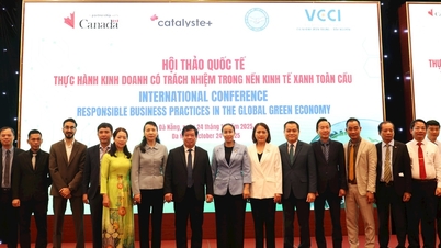 Taller sobre negocios responsables en la economía verde global en Da Nang