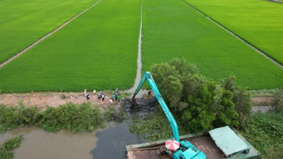 Moc Hoa: Quick response, saving the dike from breaking