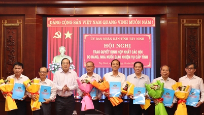 Tay Ninh fusionne les associations assignées par le Parti et l'État au niveau provincial