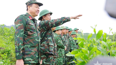 La Región Militar 4 inspecciona los preparativos para los ejercicios de defensa en Ha Tinh.
