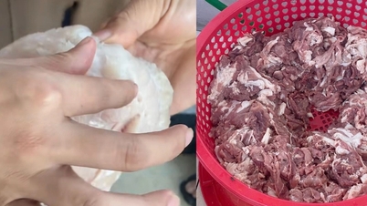 Se genera controversia por la importación de pescado podrido y carne maloliente en los comedores de las escuelas primarias de Hanoi.
