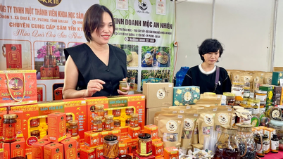 Gia Lai: Hampir 40 pengeluar menyertai Pameran Musim Luruh 2025