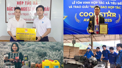 Lao Cai-ungdommen fremmer bevegelsen «5 pionerer»
