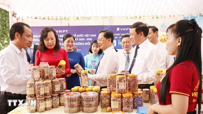 Dong Nai cashew „capital” ma 15 kolejnych produktów OCOP