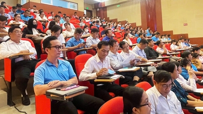 Le 1er Congrès du Syndicat provincial d'An Giang devrait se tenir en décembre 2025.