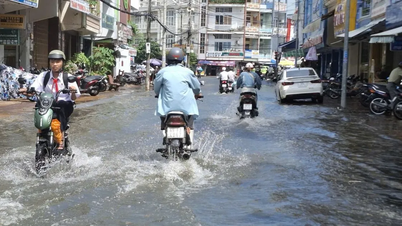 मेकांग डेल्टा: उच्च ज्वार के साथ बाढ़ के कारण कई स्थानों पर बांध टूट गए और भयंकर बाढ़ आ गई