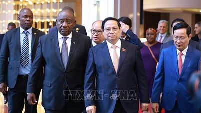 Başbakan Pham Minh Chinh ve Güney Afrika Cumhurbaşkanı Vietnam - Güney Afrika iş forumuna katıldı
