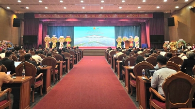 Gia Lai promueve la cooperación económica y la inversión con empresas tailandesas