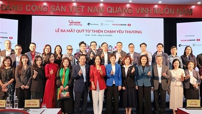 Khi yêu thương được chạm - hạnh phúc được gieo mầm