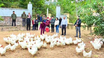 যোগাযোগের প্রচার এবং তথ্য দারিদ্র্য হ্রাস