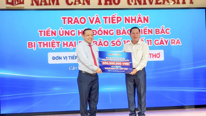 Trường Đại học Nam Cần Thơ trao 500 triệu đồng ủng hộ đồng bào miền Bắc bị thiệt hại do bão số 10 và số 11
