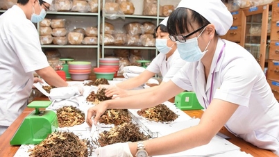 Funções e tarefas do Departamento de Medicina Tradicional em instalações de exame e tratamento médico