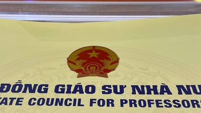 प्रोफेसर और एसोसिएट प्रोफेसर के लिए राज्य स्तरीय चयन दौर में उत्तीर्ण उम्मीदवारों की सूची की घोषणा