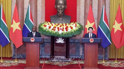 Gemeinsame Erklärung Vietnam-Südafrika