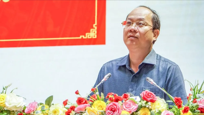 Ca Mau: جامع ترقی کے مواقع سے فائدہ اٹھانا