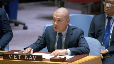 Việt Nam kêu gọi giải pháp cho một nền hòa bình công bằng và bền vững tại Gaza