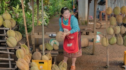El durian de Laos tiene una gran ventaja en China gracias al ferrocarril transfronterizo
