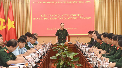 Inspección de la Oficina Permanente del Comité Directivo de Defensa Aérea Popular de la provincia de Quang Ninh