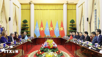 The United Nations will continue to accompany and support Vietnam's development priorities.