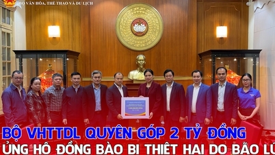 Ministry of Culture, Sports and Tourism donates 2 billion VND to support people affected by storms and floods