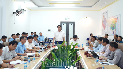 Chủ tịch UBND tỉnh Khánh Hòa Nguyễn Khắc Toàn kiểm tra các dự án trọng điểm và khu công nghiệp ở phía nam tỉnh