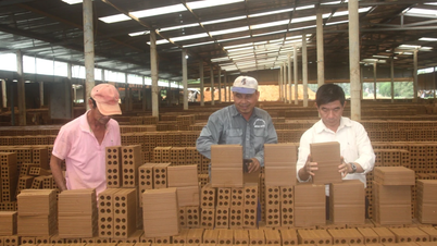 Investing nearly 20 billion VND to build Nam Gia Lai semi-flexible tunnel brick factory