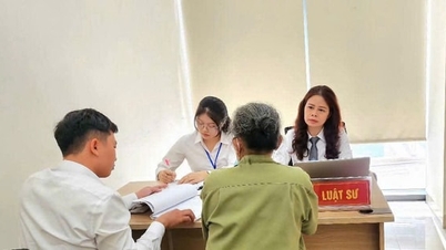 Complaints and denunciations have decreased in number of people, petitions and cases.
