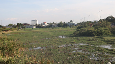 High-speed railway construction: Creating development momentum - Part 2: Urgently building resettlement areas