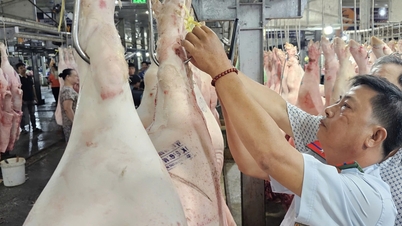 ホーチミン市、2025年に豚肉取引フロアを試験的に導入へ