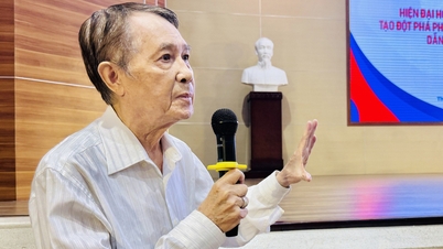 A lei deve ser detalhada para evitar "abuso de poder" quando as universidades são autônomas.