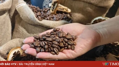 Экспорт кофе установил новый рекорд